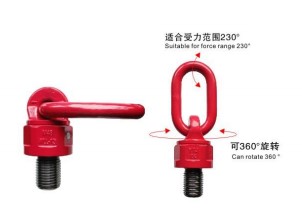 萬(wàn)向旋轉(zhuǎn)吊環(huán)